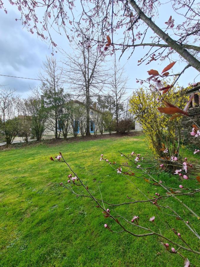 Le Terrier Maison De Campagne 250 M2 Grande Capacite 20 Couchages, 4500M2 De Terrain Βίλα Saint-Pierre-du-Chemin Εξωτερικό φωτογραφία