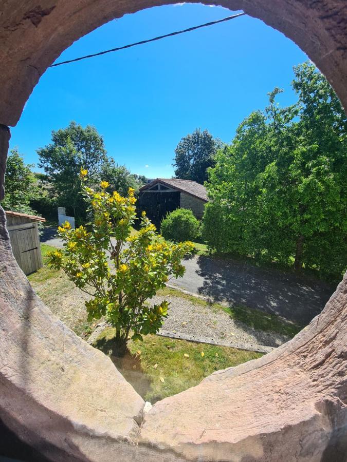 Le Terrier Maison De Campagne 250 M2 Grande Capacite 20 Couchages, 4500M2 De Terrain Βίλα Saint-Pierre-du-Chemin Εξωτερικό φωτογραφία